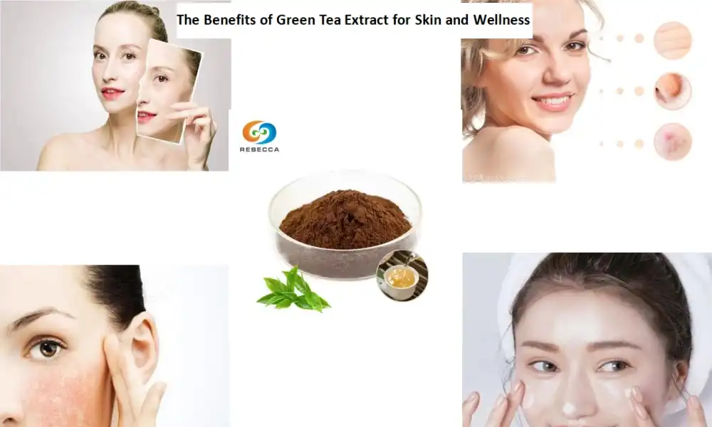 The Benefits of Green Tea Extract for Skin and Wellness